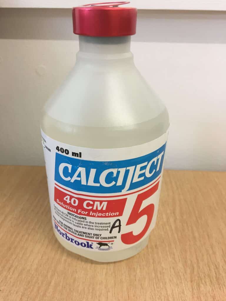 Managing Calcium at Calving Time